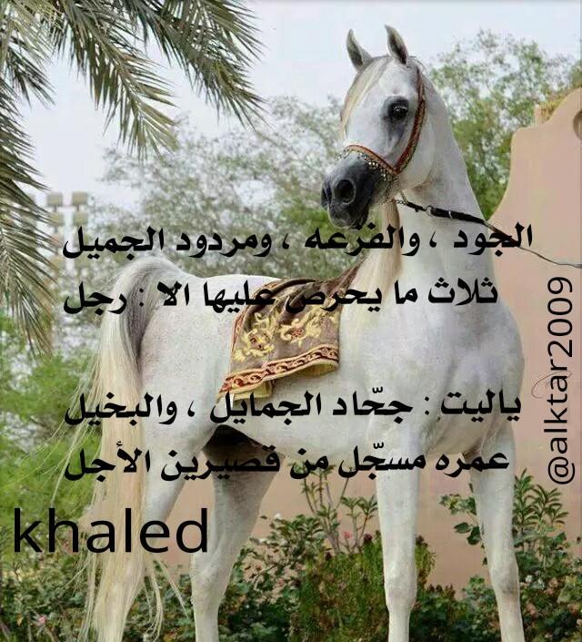 alktar2009 tweet picture