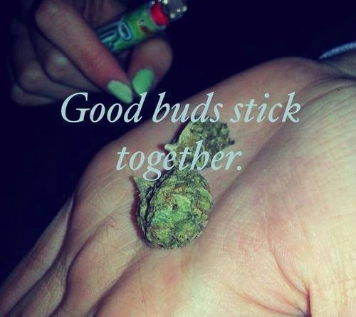 Weeedporn's tweet photo. Never forget this. http://t.co/1Qx5DBdsYp