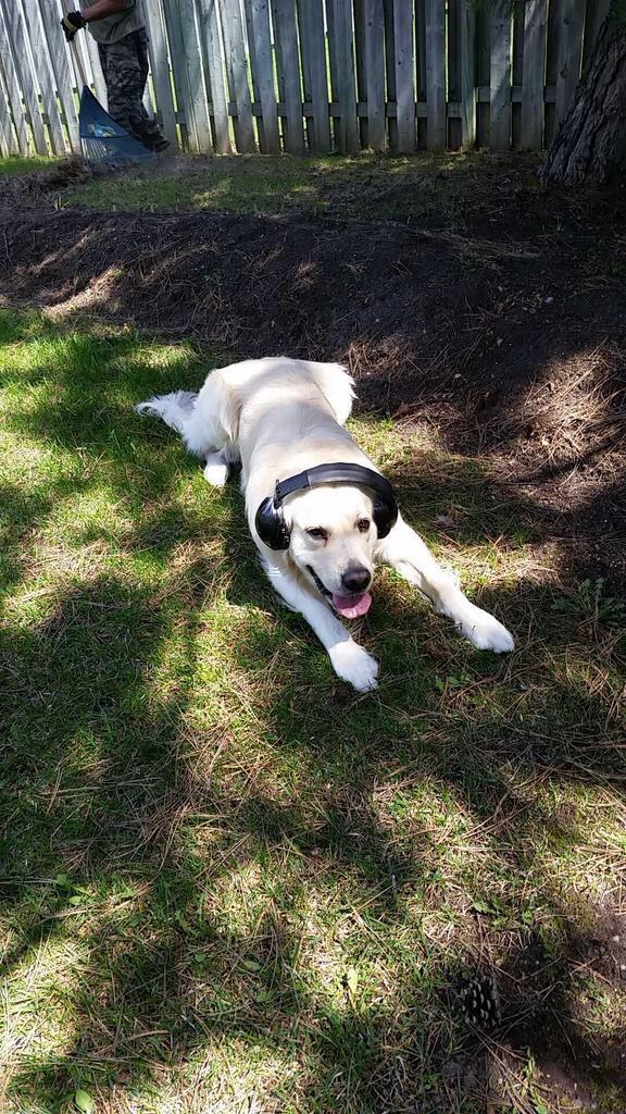 ChurchofState's tweet image. listening to the mixes like