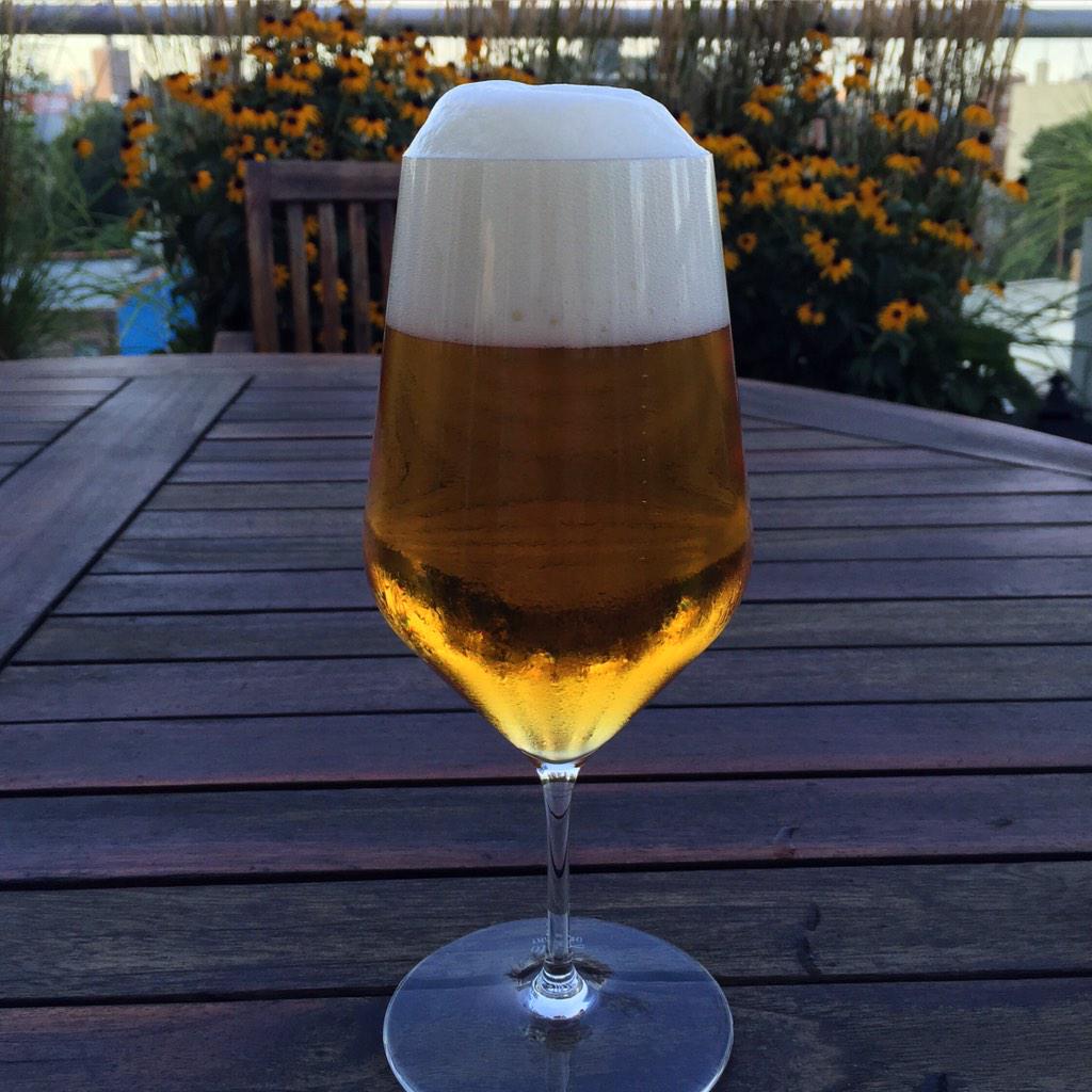 A perfectly poured beer #art #tasty #Ahhh <a href="/Stieglbrauerei/">Stiegl</a> <a href="/ZaltoUSA/">Zalto USA</a> <a href="/zalto/">zalto</a>