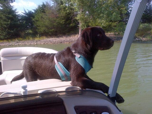 JBKLCJPK's tweet photo. Mocha Jocha Latte' doing a little fishing this past weekend ~ caught a Bass http://t.co/TqKtLAZGOK