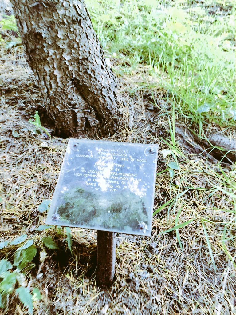 varapunya's tweet photo. Indian high commissioner for UK planted this tree in India. #Union http://t.co/nHOHMHSAQA