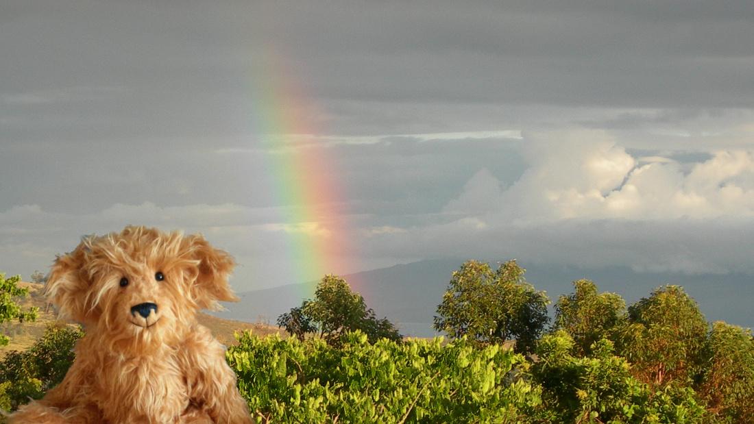 Arth Doeth tweet media