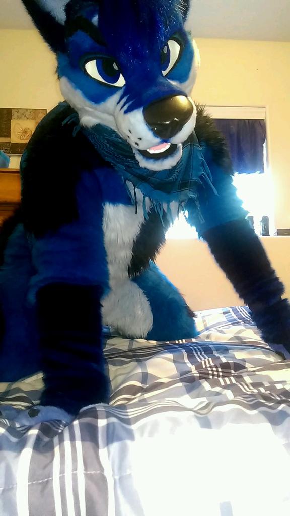 RahneKallon's tweet photo. #MFYMonday Here's the wolf ;) @MadeFurYou http://t.co/KrMExDYx4B