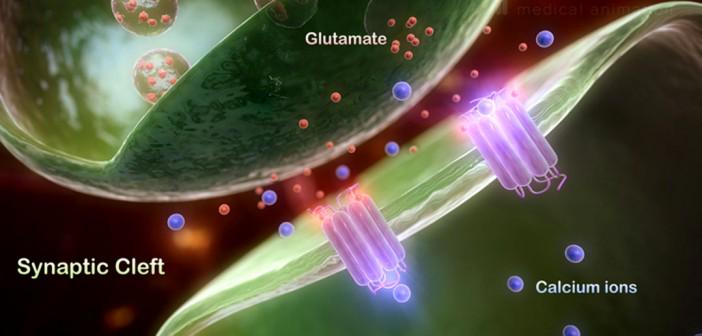 PsyPost's tweet photo. Study: Depressed females have over-active glutamate receptor gene  http://t.co/ghWj2k7qDt http://t.co/VsLSEwwTZc