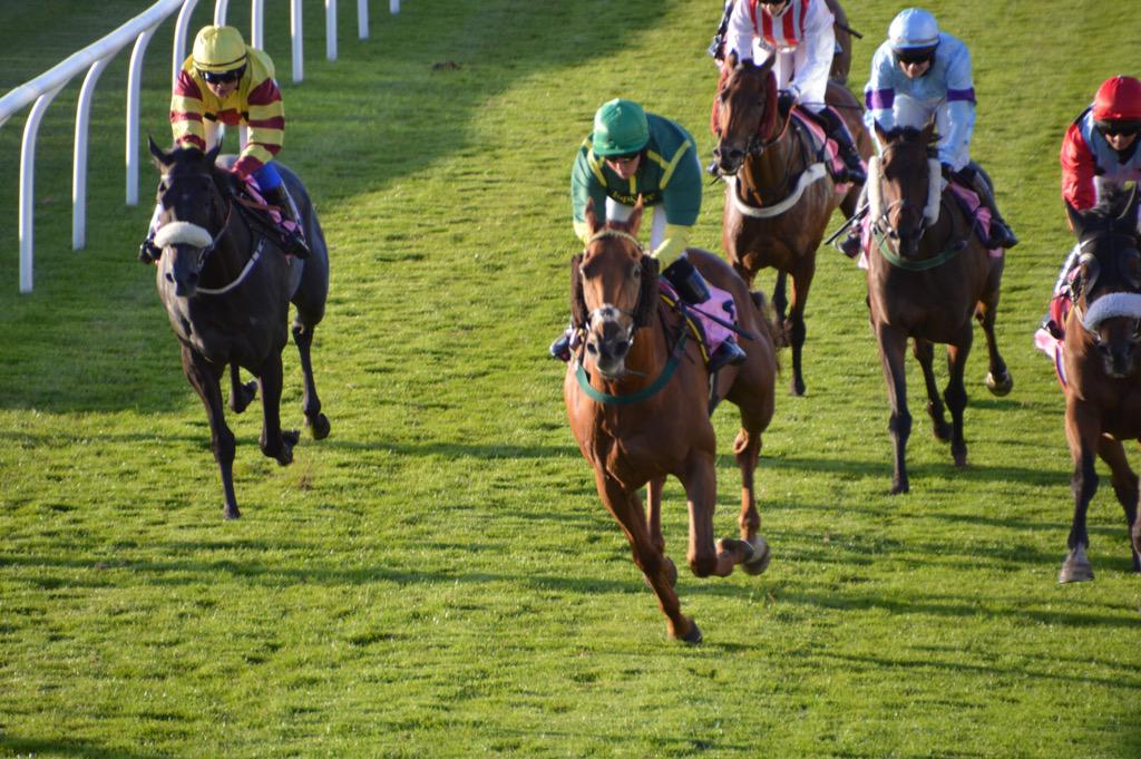 mrossi11's tweet photo. @PKirbyRacing at the double - #CallItOn #Winner @cathwalton #topjock #CarlisleRaces http://t.co/T6JPS0qrgi