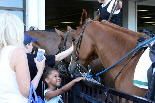 PenelopePMiller's tweet photo. Excited to share my #Haskell2015 adventures in my latest @ABRLive photoblog! http://t.co/1li7QRD1Ej #AmericanPharoah http://t.co/NWZi4wgVtk