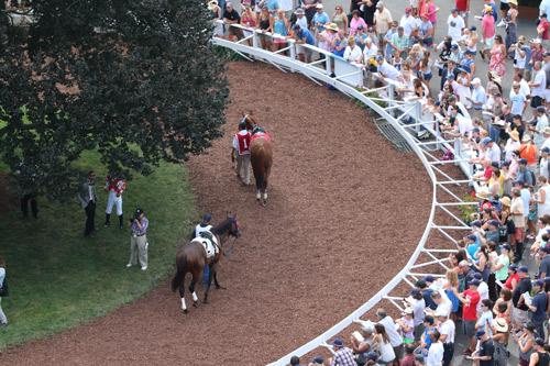 PenelopePMiller's tweet photo. Excited to share my #Haskell2015 adventures in my latest @ABRLive photoblog! http://t.co/1li7QRD1Ej #AmericanPharoah http://t.co/NWZi4wgVtk