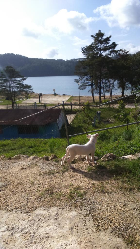 thepm30's tweet photo. Laguna de Montebello, petit paradis sur Terre http://t.co/9OTzTSWBJx