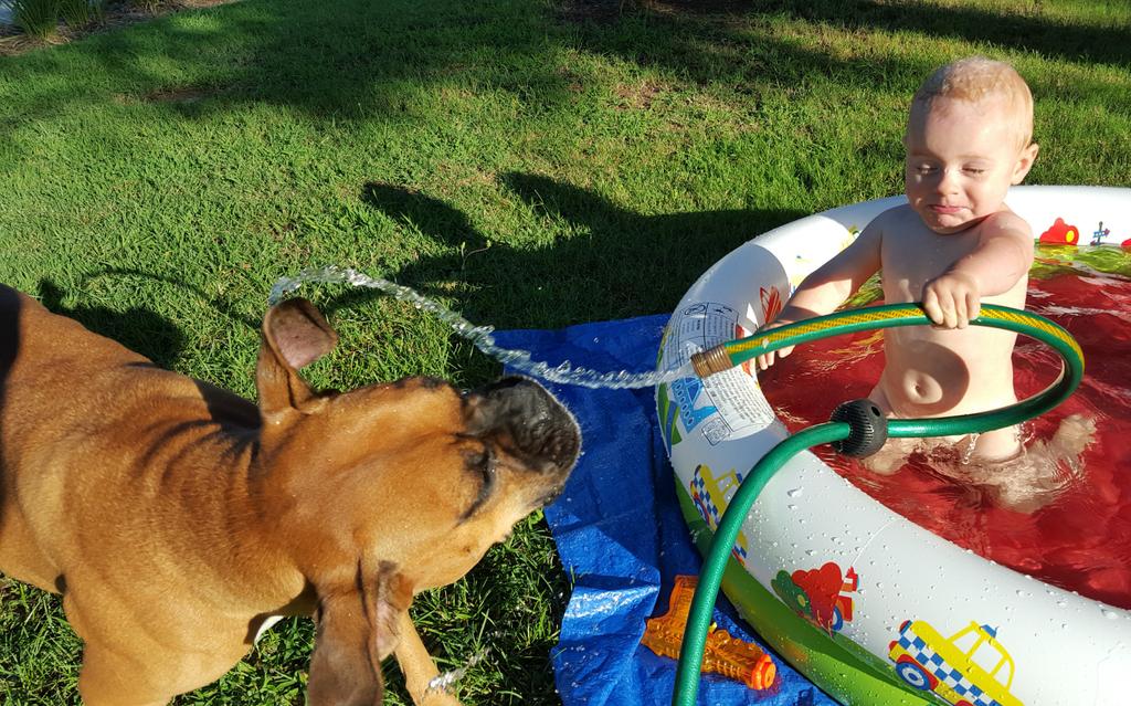 ScottAlms's tweet image. Simeon Jett playing with his best friend Sophi!!! Love you son!