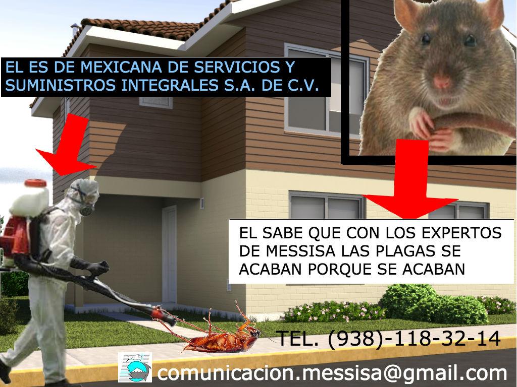 MESSISAOFICIAL's tweet image. ¡HASTA LA PLAGA MAS PEQUEÑA NOS TIENE MIEDO!

CONTACTANOS: DESINFENCCIONES, FUMIGACIONES, SERVICIO DE LIMPIEZA Y MAS!