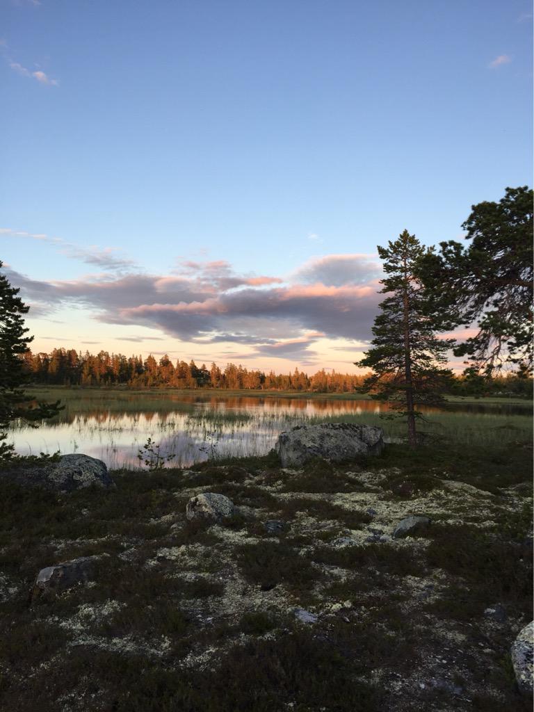 susanndybvik's tweet photo. #Flensmarka #Røros http://t.co/rhkCokLRnI