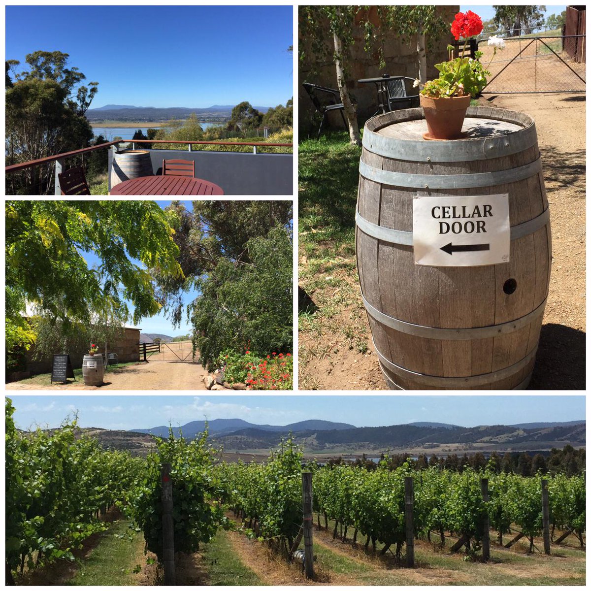 In preparation of our #winelist we visited #wineries in #tasmania ! #frogmorecreek #josefchromy #moorilla #freycinet
