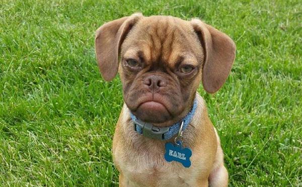 花ステーション Hanastation1 Twitter