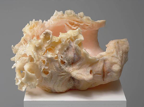 skyethorstenson's tweet photo. Beautiful #PolyesterResin & #wax #sculptures by Rebecca Stevenson http://t.co/62UWEEc73F http://t.co/11vA89ZMS5