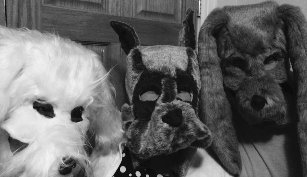 DPPNuit's tweet photo. Sneak peak: Costumes are coming together! http://t.co/m7tqKe6LX0 #dppott #nbog2015 #nbog #dogs @NuitBlancheOtta http://t.co/f7JoVs9VR1