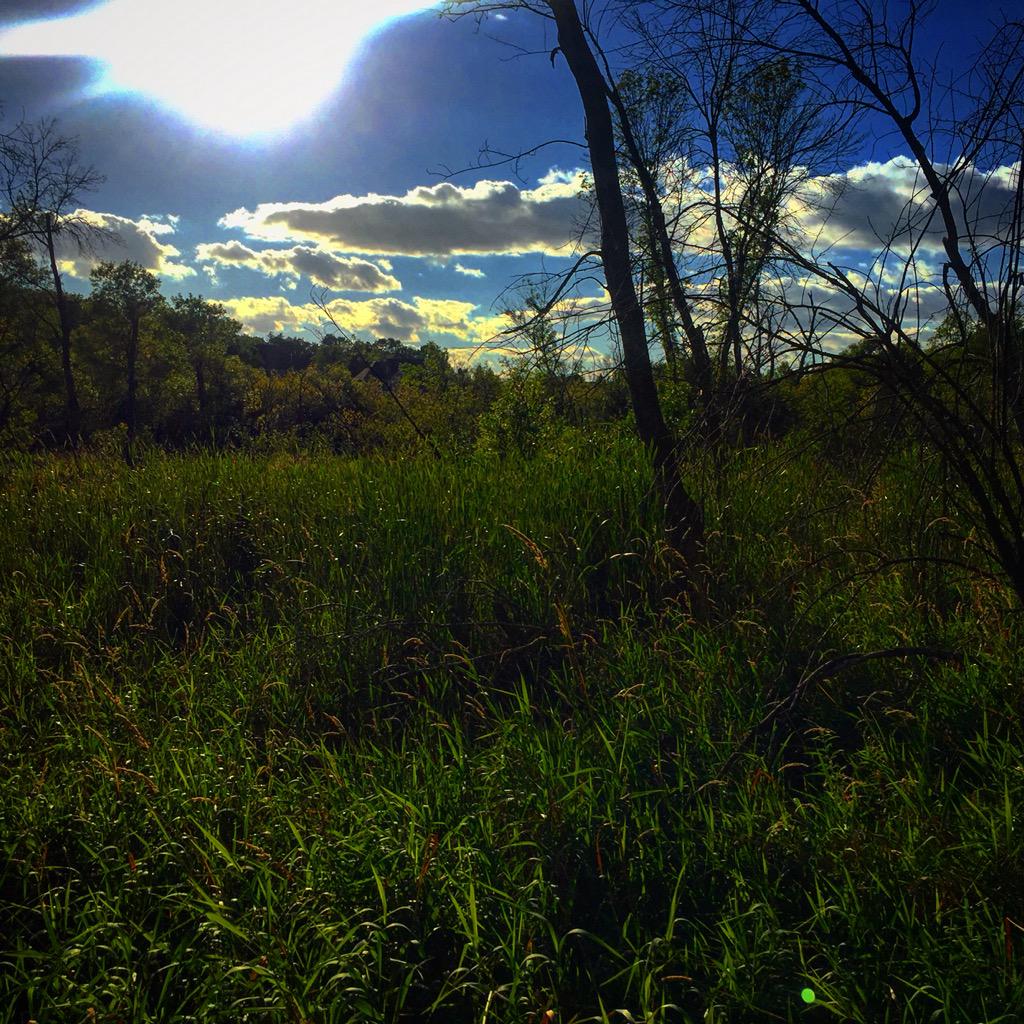 ExploringPhotos's tweet image. Went exploring in the woods today 👌🏻