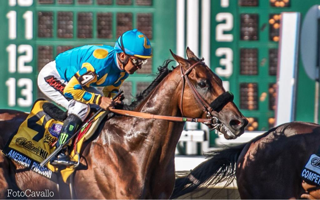 FotoCavallo's tweet photo. To watch him run is to know true magic. #AmericanPharoah #Haskell2015 @ABRLive @ZayatStables @TVG @HRTVNetwork http://t.co/GYA4ESZTvR