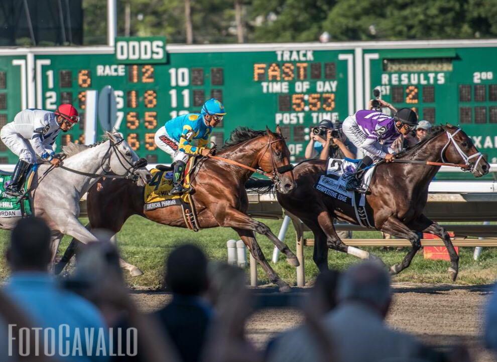 FotoCavallo's tweet photo. To watch him run is to know true magic. #AmericanPharoah #Haskell2015 @ABRLive @ZayatStables @TVG @HRTVNetwork http://t.co/GYA4ESZTvR