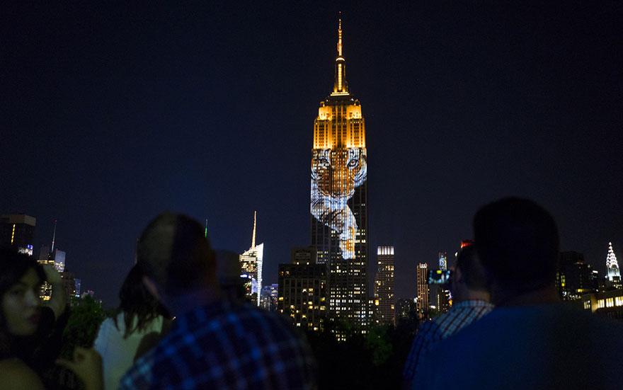 GoToCity's tweet photo. #CecilTheLion And 160 Endangered Animals Projected On Empire State Building
 http://t.co/VYjPvN4eUB #NYC http://t.co/84zzIoQRsN