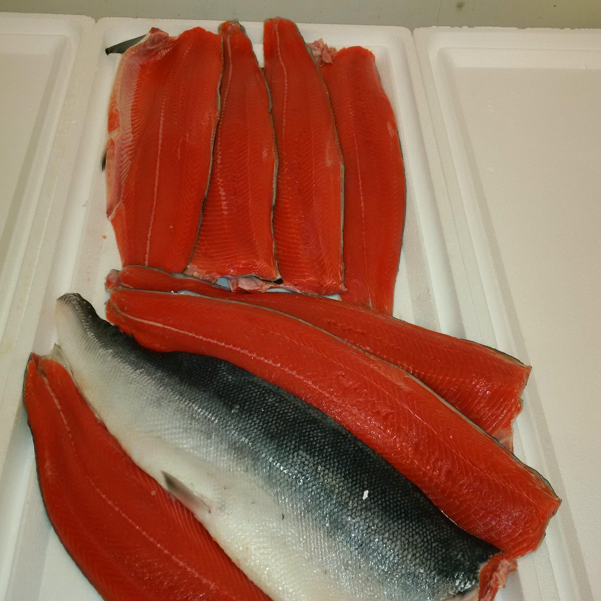 SouthbankFish's tweet photo. Stunning Fresh MSC Alaskan Sockeye, cut & on its way to Wholefoods Piccadilly. #uniqueoffer @MSCintheUK #WFMLondon http://t.co/90OE5qPOcp