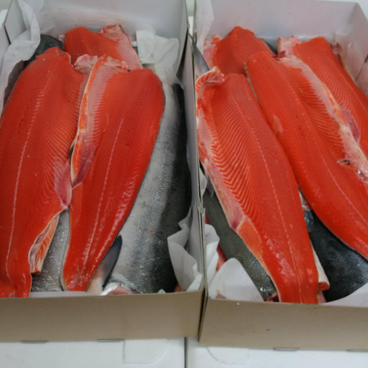 SouthbankFish's tweet photo. Stunning Fresh MSC Alaskan Sockeye, cut & on its way to Wholefoods Piccadilly. #uniqueoffer @MSCintheUK #WFMLondon http://t.co/90OE5qPOcp