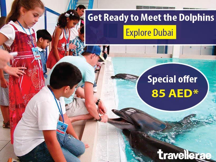 Traveller_ae's tweet photo. Get Ready to Meet #Dolphins . 
Call our traveller.ae specialist: 00971 505489699 to get special offers!!! http://t.co/TUjlgLwksW