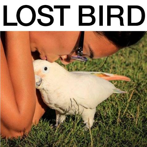 MadisonValleyWA's tweet photo. Peaches is Missing! He’s mostly white with an aluminum ID band. Please call: Taryn 253-209-5202 / Kevin 206-419-8313 http://t.co/HKg2xrWm8f