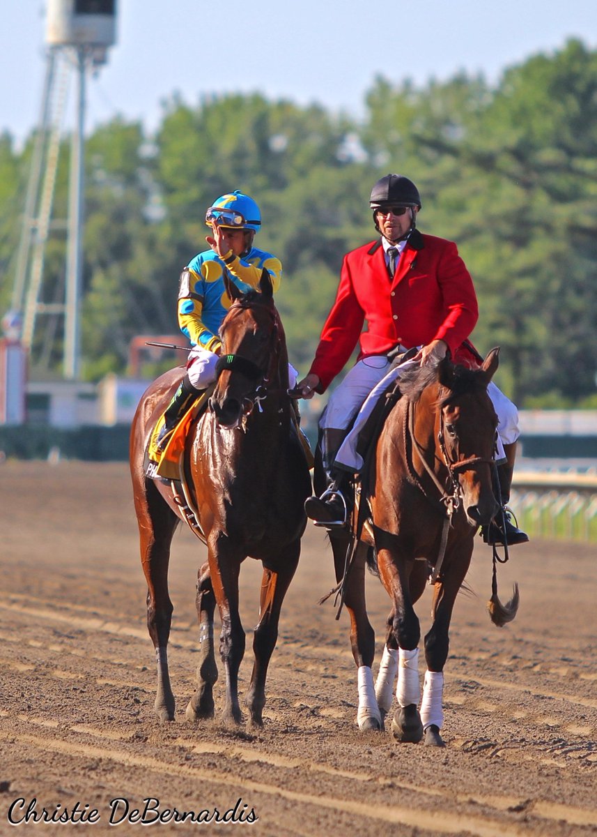 CDeBernardis721's tweet photo. American Pharoah's glorious return in @MonmouthPark Haskell Invitational Sunday, #Haskell2015 #AmericanPharoah http://t.co/9XrqcG1qF8