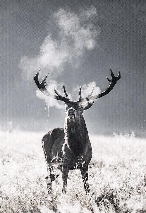 adventurful's tweet photo. B r e a t h e  ༄ http://t.co/wXB5tSC2I7
