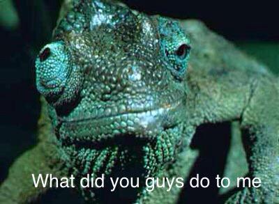 olchap_'s tweet image. @DenistheMenace6