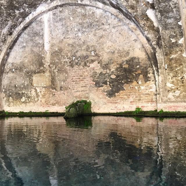 WeTuscany's tweet image. Buongiorno! #goodmorning #anotherworkingday #siena #fontebranda #water #toscana #tuscany #italia