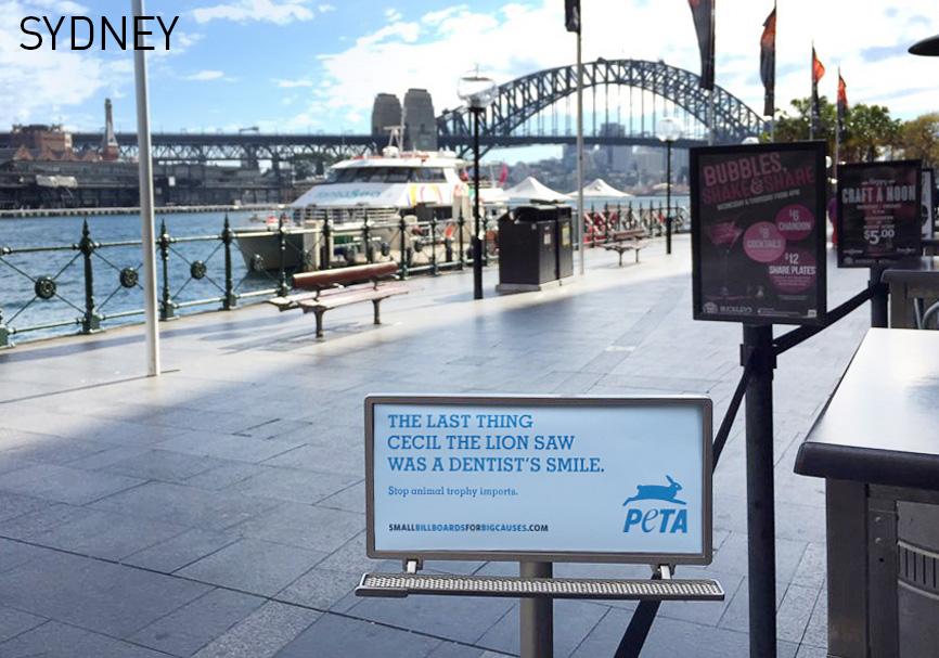 smallbillboards's tweet photo. Straight from #Sydney, #Australia! #SmallBillboards bring awareness globally!  #CecilTheLion @peta http://t.co/9ggwzHfyQ4