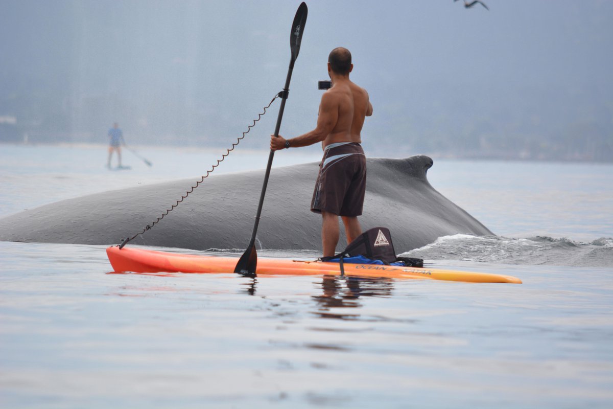 Monterey Bay Aquarium tweet media