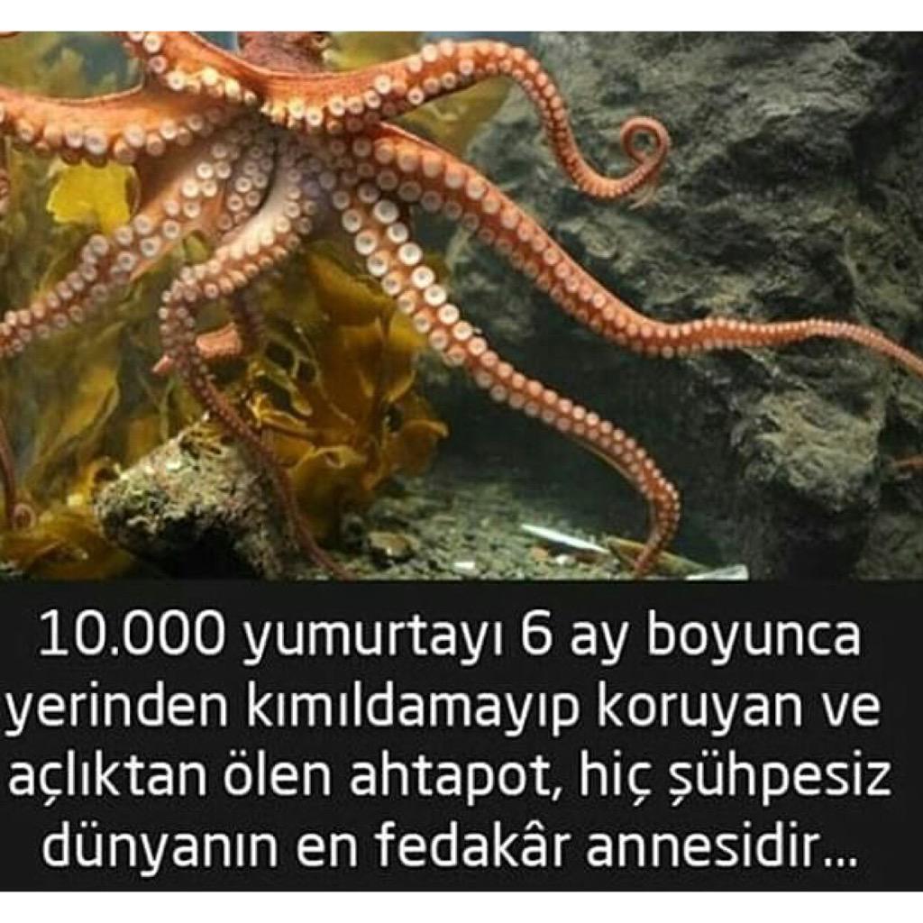 CLitklPXAAYsdMv.jpg
