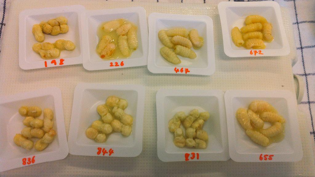 Bee larvae and pupae tasting session at @NordicFoodLab. Wow! What a range of flavours! #napping #UFP