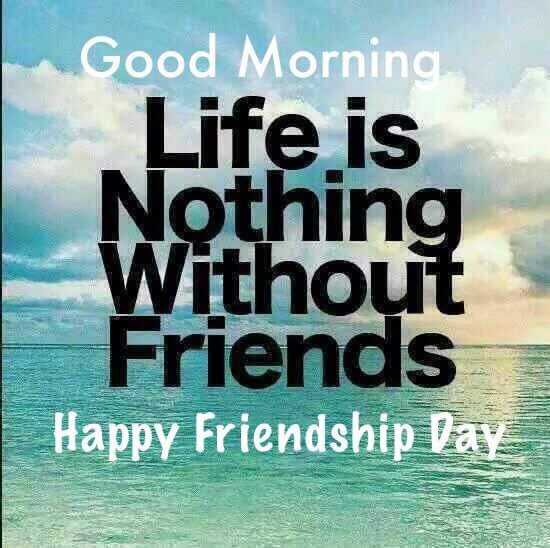 ddb1f80ba66a44d's tweet image. Happy frendshipdy. .