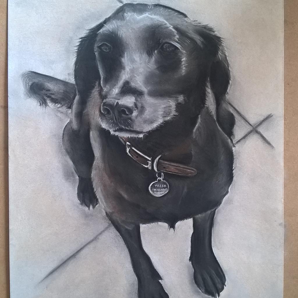 pastelpresent's tweet photo. Completed portrait of Tessa #pastel #portrait #art #artist #petartist #dogs #doglover #petlover #Labrador #black http://t.co/9lOGpNenGd