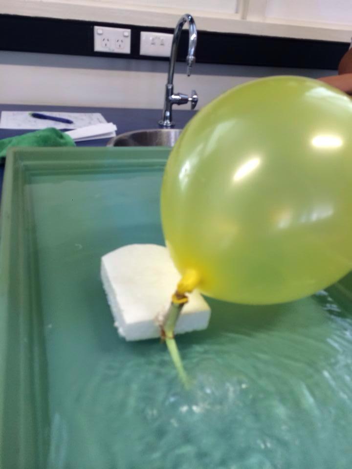 BoardKaren's tweet photo. Yr 10 intro to #forces stations. Also made paper planes &amp; hovercrafts!  #buoyancy #gravity #Newton #friction #drag http://t.co/RyMgbHVfYD
