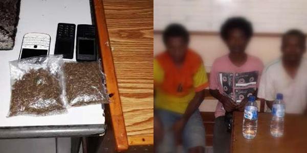 HUMAS POLDA PAPUA tweet media