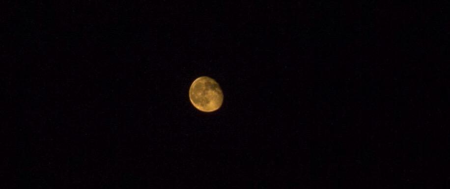 CorrynMC's tweet photo. yestermoon.
@OjaiPlaywrights #opc2015 #ojaiplays http://t.co/7SJBLeOquh