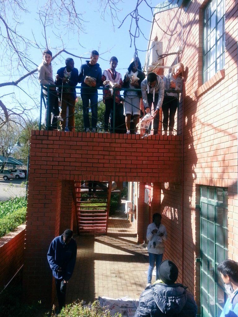 GSPatALA's tweet photo. #GSP3: Egg drop teaching the importance of prototyping and design testing http://t.co/kGkq0BrKeo