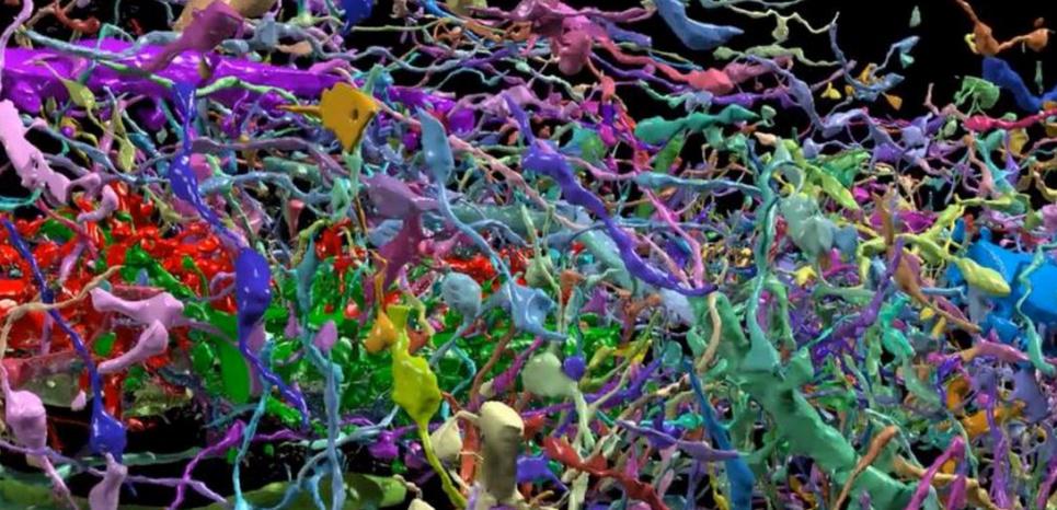 Sciences_Avenir's tweet photo. Cerveau : les neurones à l'échelle nanoscopique, ça donne quoi ? #Vidéo >> http://t.co/BmYokogHRf http://t.co/iUAZhdmsHx