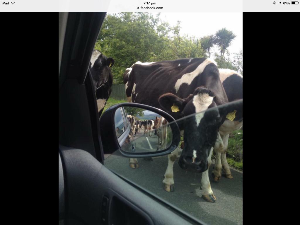 PeekMarie's tweet photo. #rearviewmirror http://t.co/NLj44DeVHQ