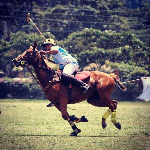 Nairobi Polo Club (@nairobipoloclub) on Twitter photo Justin preparing for a nail biting game and a consequent thrashing from <a href="/ckfoot/">chris foot</a> leaning for his shot on #Zambezi. Justin preparing for a nail biting game and a consequent thrashing from <a href="/ckfoot/">chris foot</a> leaning for his shot on #Zambezi.