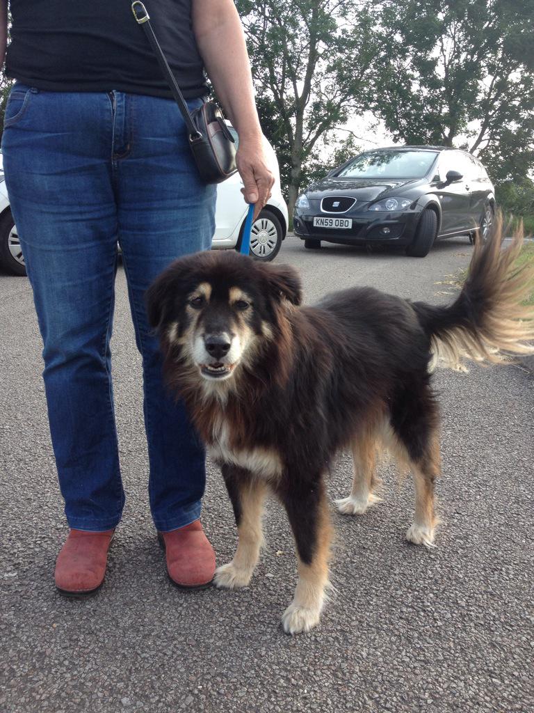 OultramSally's tweet photo. Bella #CountrysideHero http://t.co/jzgTgmmvCd