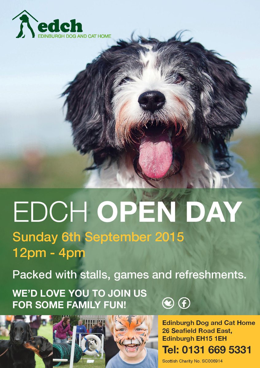 EdinDogCatHome's tweet photo. Who's excited for our Open Day? Just over 4 weeks to go! #edch #charity #openday #Edinburgh http://t.co/RUHVHdImgD