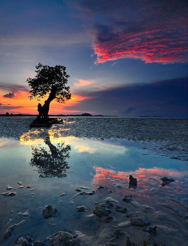 _Paisajes_'s tweet photo. Momento de belleza y soledad. http://t.co/inAPfJ7stM