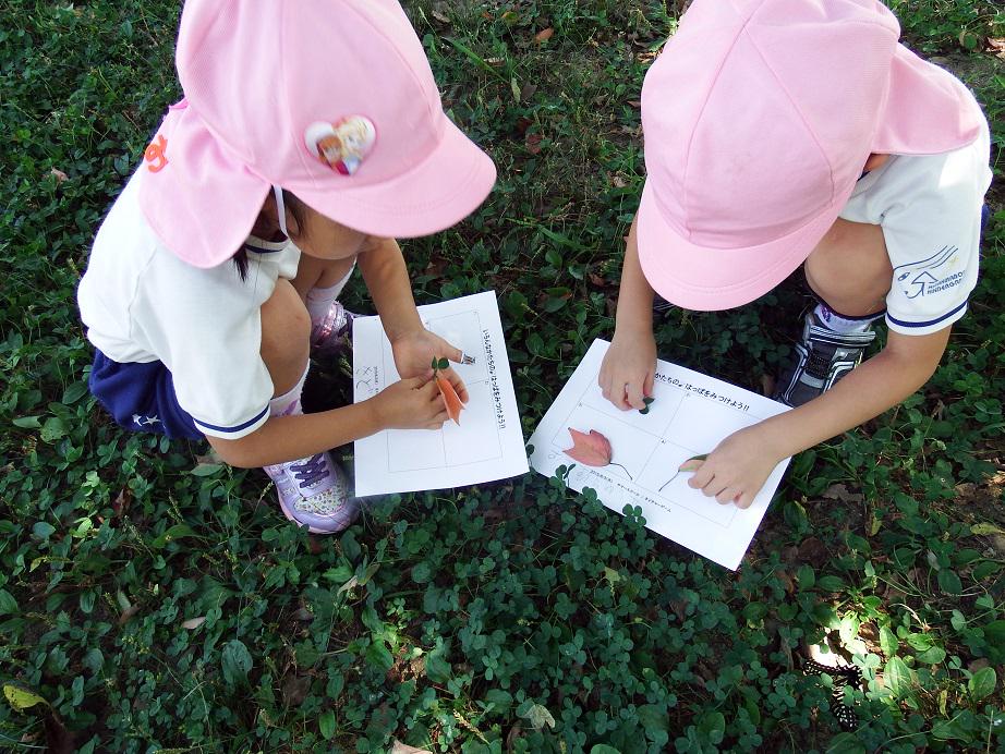 きらきら星幼稚園 サマースクール この日はネイチャーゲーム いろんなかたちのはっぱをみつけよう その後はお楽しみのカレーライス 2歳児クラスのどんぐりさんもおいしいカレーを頂きました Http T Co 1phmzyadjo