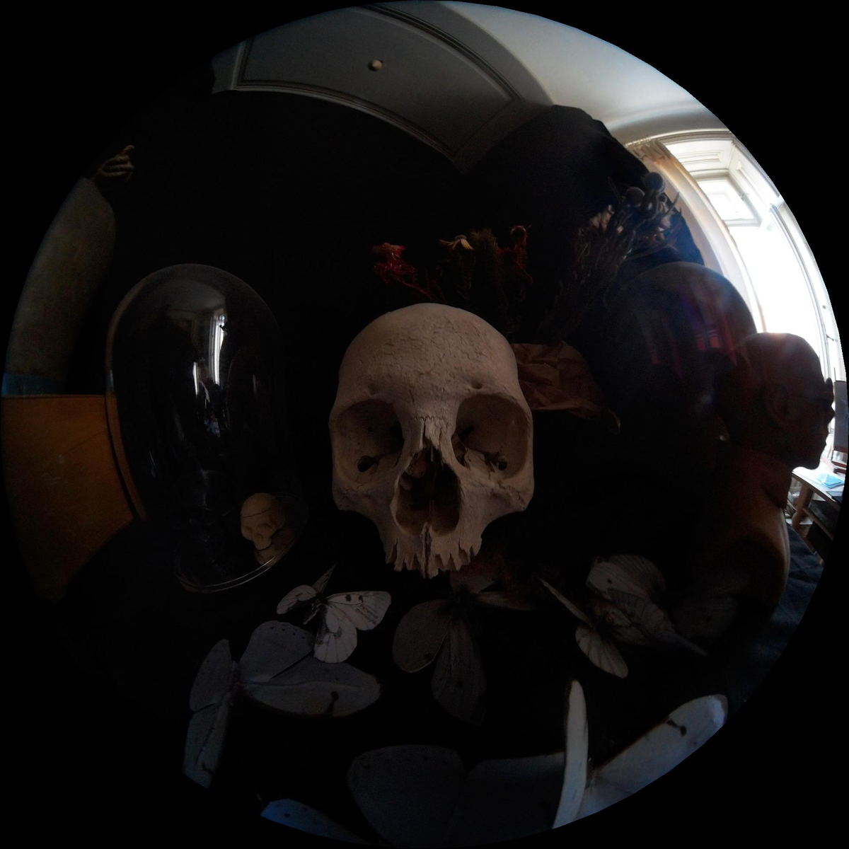 fluidotv's tweet photo. soul @ David Dalla Venezia studio #art #sphereproject #trieste @twittodarte http://t.co/5rZnTjFaxZ